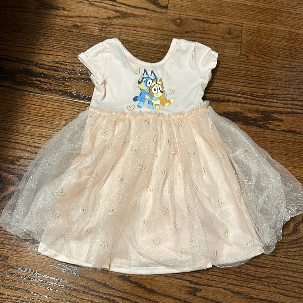 Bluey tutu dress